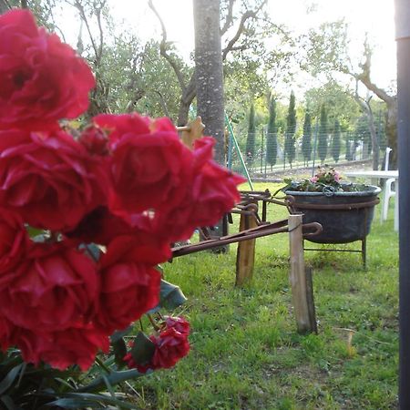 Agriturismo La Fattoria San Donato Val di Comino Εξωτερικό φωτογραφία