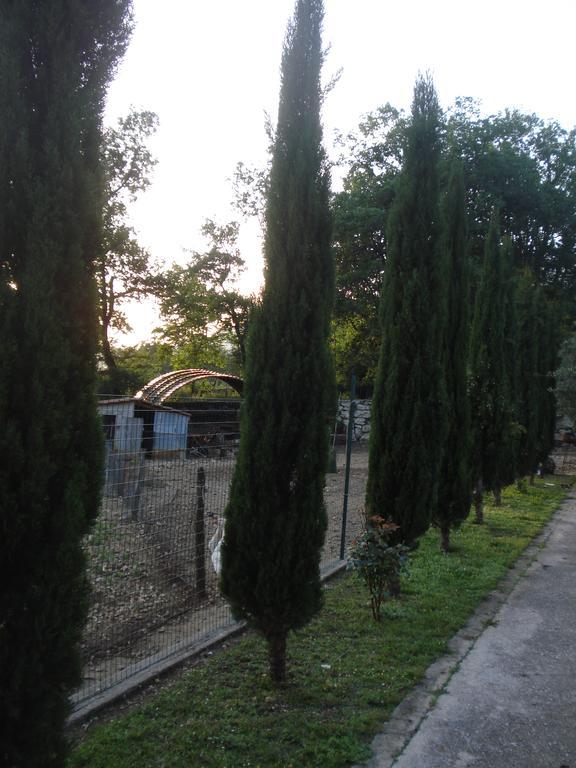 Agriturismo La Fattoria San Donato Val di Comino Εξωτερικό φωτογραφία