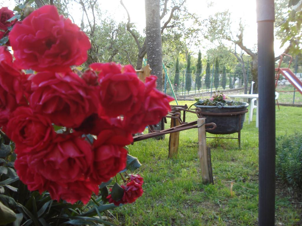 Agriturismo La Fattoria San Donato Val di Comino Εξωτερικό φωτογραφία